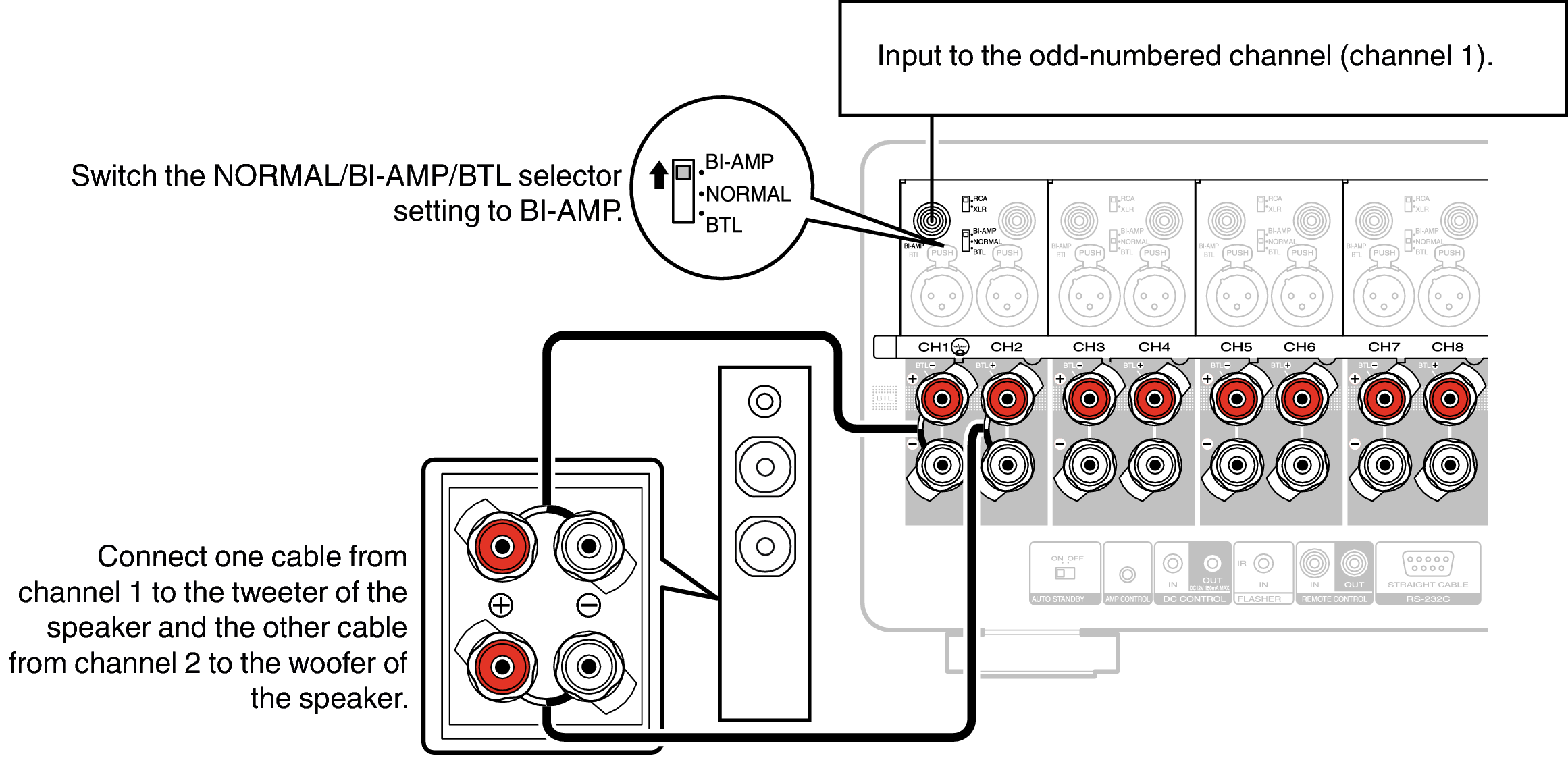 Bi-amp connection AMP 10